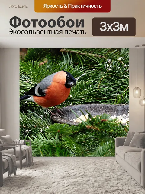Фотообои Снегирь