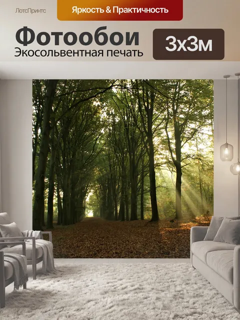 Фотообои Лес