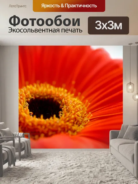 Фотообои Красные герберы ромашка