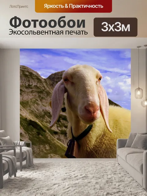 Фотообои Flock