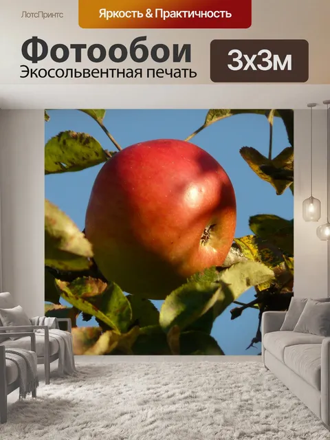 Фотообои Яблоко