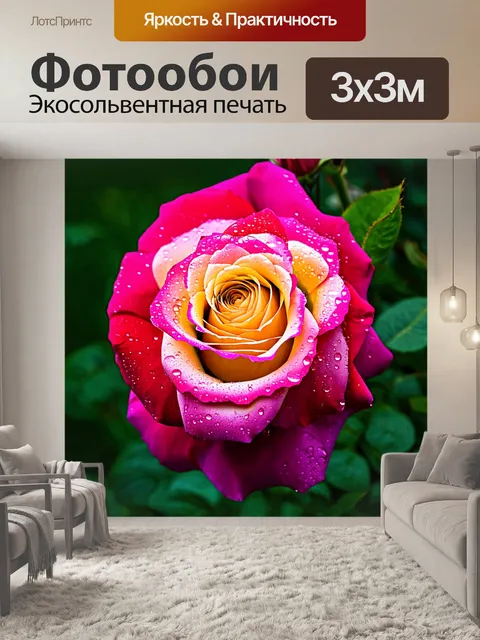 Фотообои розы в стиле фотореализм, яркие и насыщенные краски, крупный план цветка с каплями росы на лепестках
