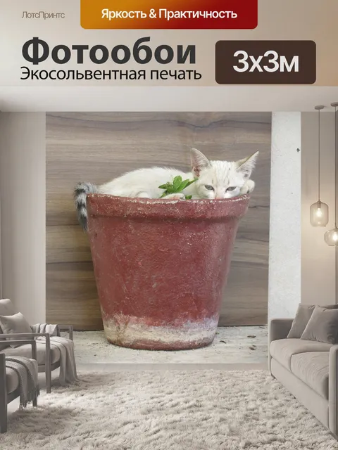 Фотообои Котенок