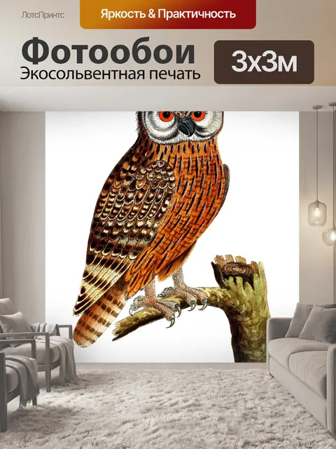 Фотообои Сова птица винтажное искусство