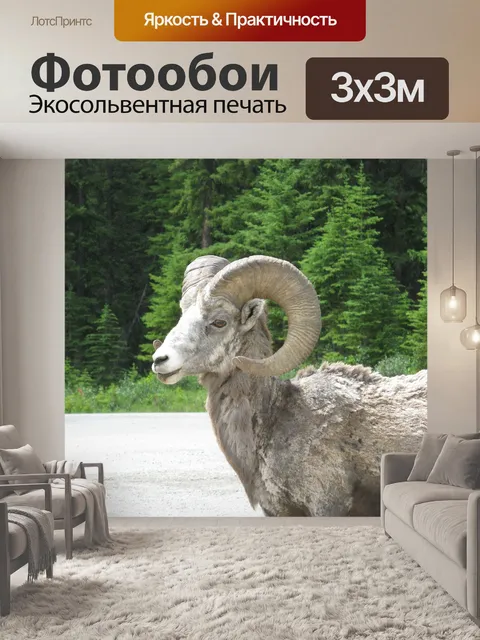 Фотообои Большой