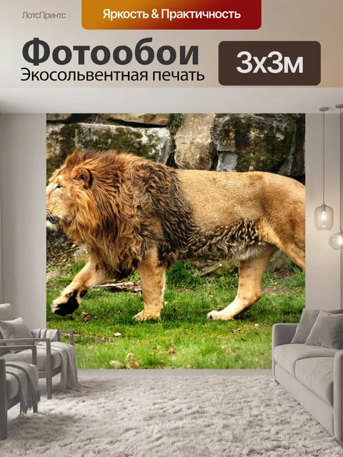 Фотообои Лев
