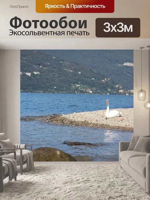 Фотообои Лебедь