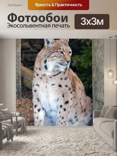 Фотообои Рысь