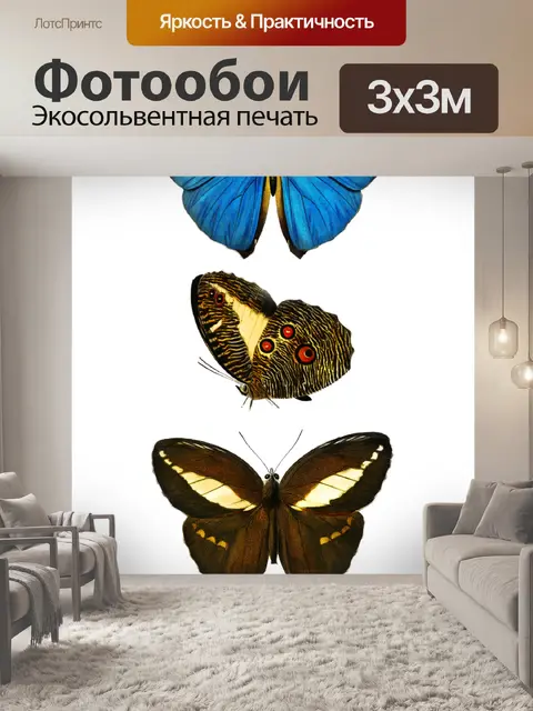 Фотообои Бабочки мотылек винтажное искусство