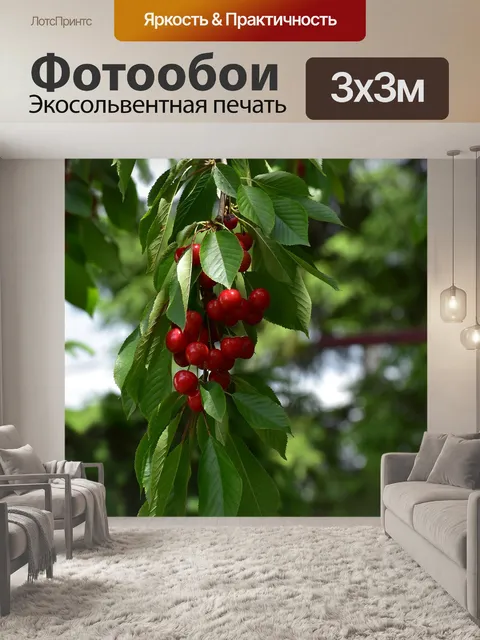 Фотообои Вишня