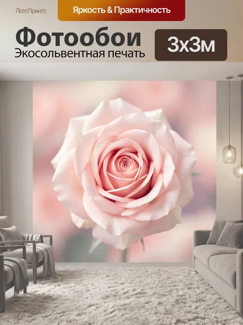 Фотообои Нежно-розовая роза крупным планом