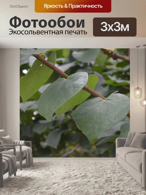 Фотообои Листья на ветке