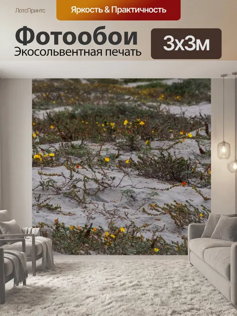 Фотообои Песок и трава
