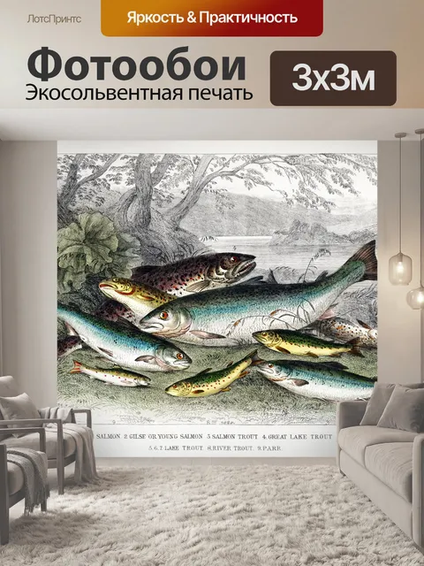 Фотообои Рыба старинные иллюстрации старые