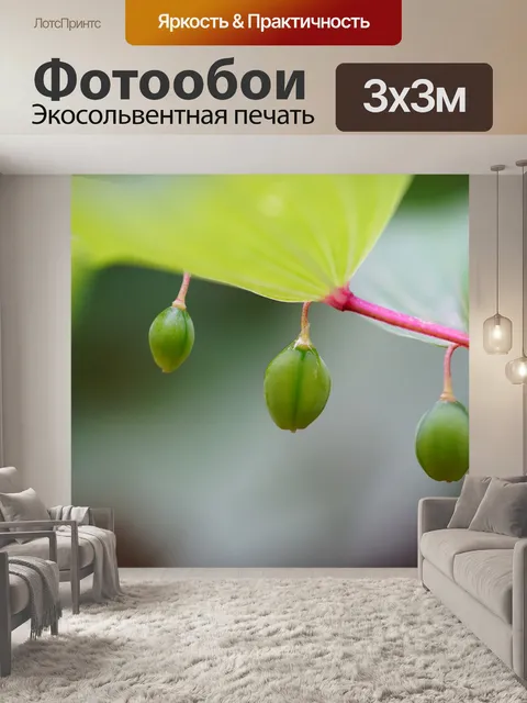 Фотообои Dungule