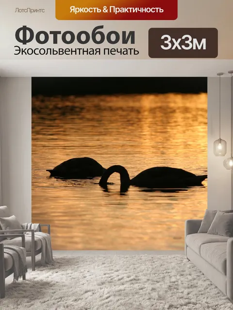 Фотообои Лебеди