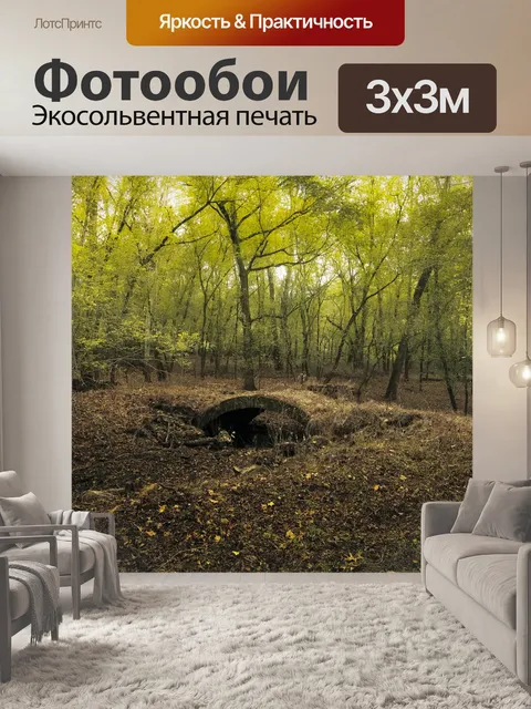 Фотообои Пешеходный мост