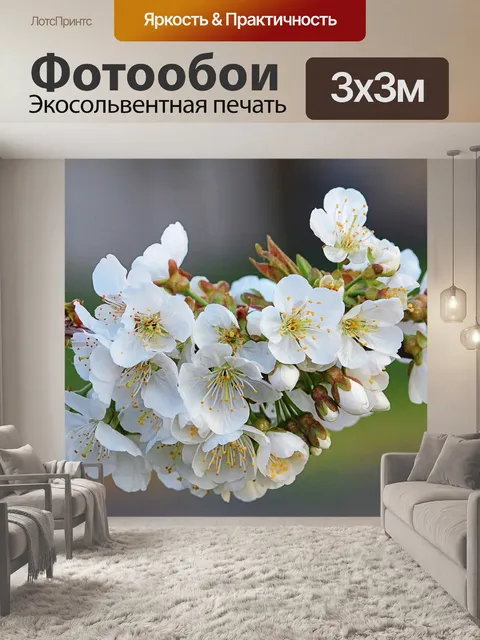 Фотообои Расцветает