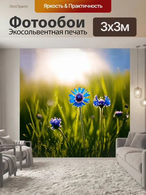 Фотообои васильки, распускающиеся на фоне зелёной травы, нежно колышутся на лёгком ветерке