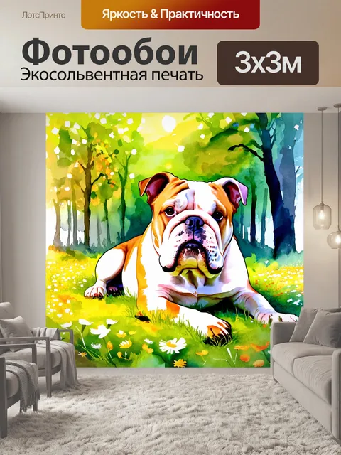 Фотообои изображение английского бульдога