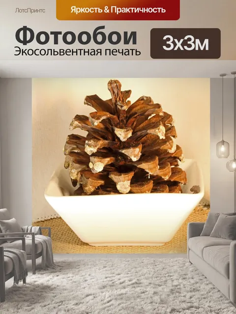 Фотообои сухая сосновая шишка в белой керамическо
