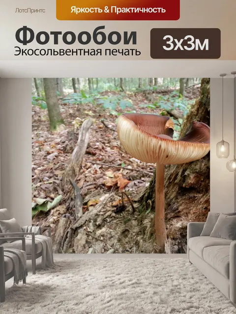 Фотообои Гриб в лесу
