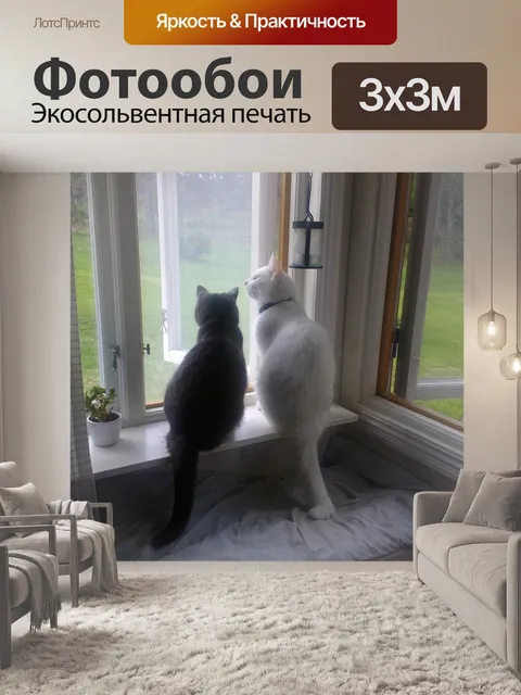 Фотообои Кошки
