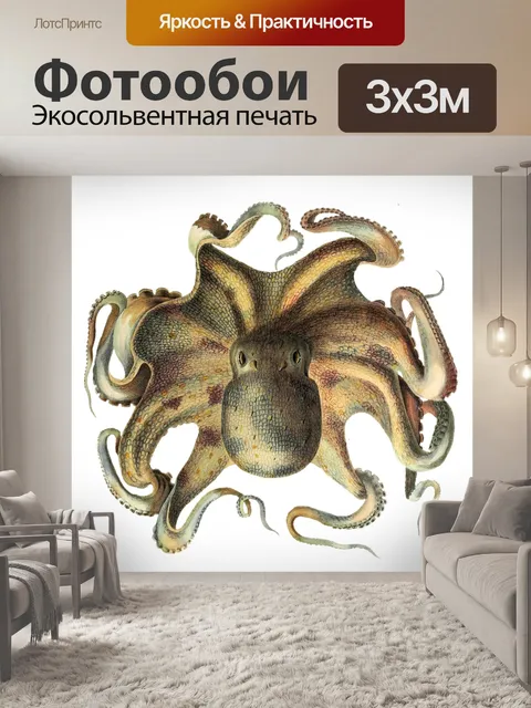 Фотообои Кальмар осьминог миф о мореплавании