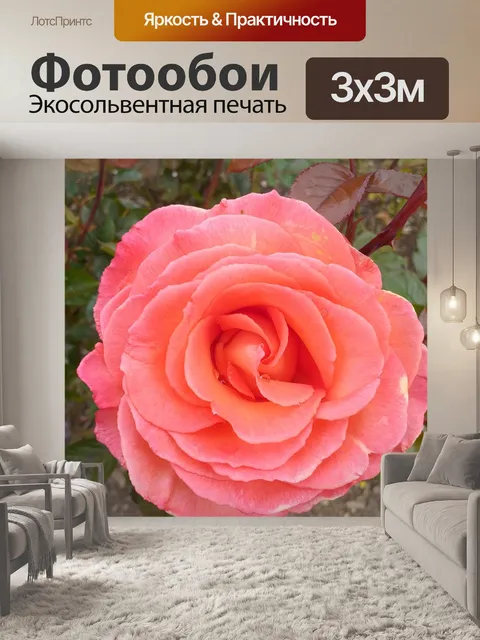 Фотообои Цветок