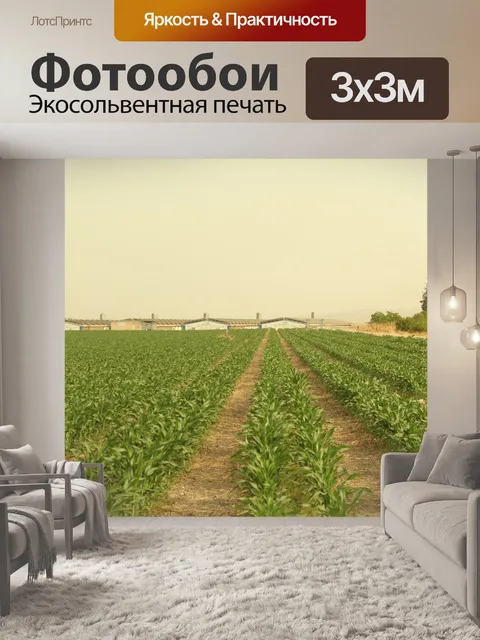 Фотообои Поле
