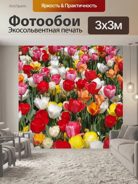 Фотообои Тюльпаны