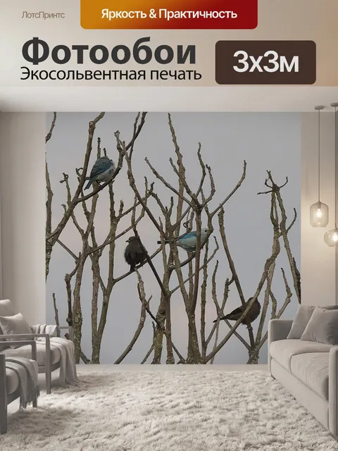 Фотообои Птицы