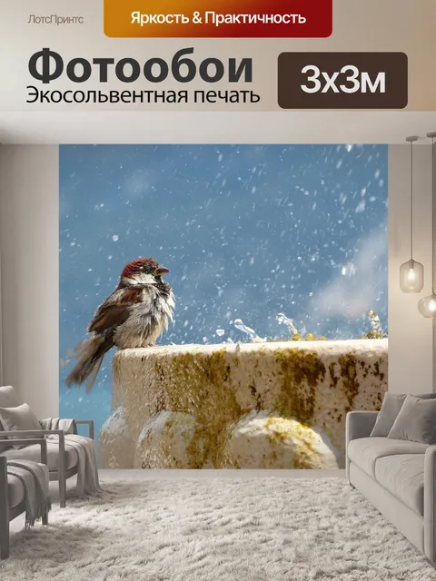 Фотообои Птица