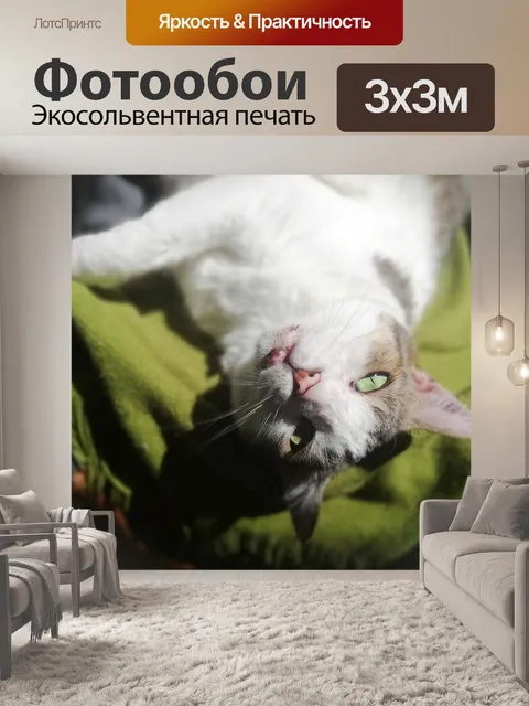 Фотообои Домашние питомцы