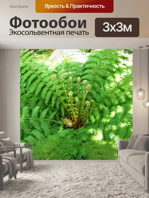 Фотообои Папоротник