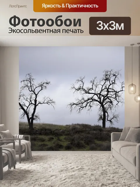 Фотообои Голые деревья на Hillside