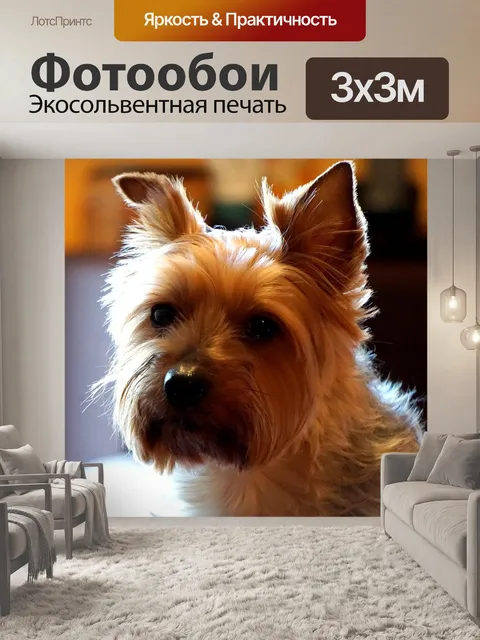 Фотообои Собачка