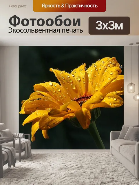 Фотообои Капли дождя на маргаритки