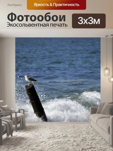 Фотообои Чайка и море