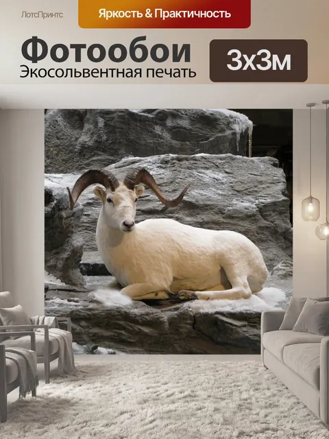 Фотообои Овцы долла
