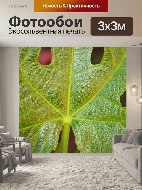 Фотообои лопастные фиговый листок