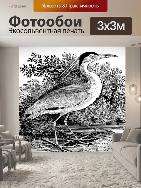 Фотообои Черная корона ночная цапля
