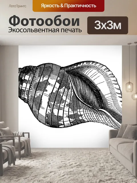 Фотообои Винтажное искусство ракушек старое