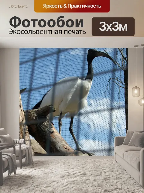 Фотообои Ibis