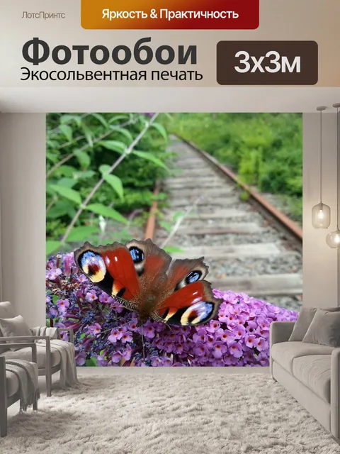 Фотообои Бабочка