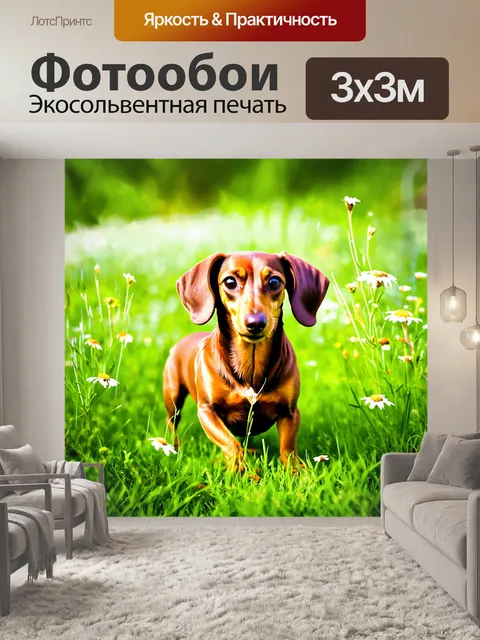 Фотообои сцена, где такса играет на зеленом травяном поле, окруженная дикими цветами
