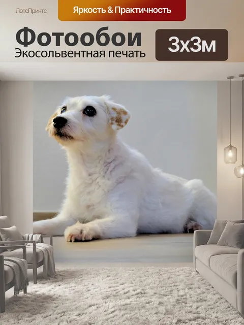 Фотообои Собака