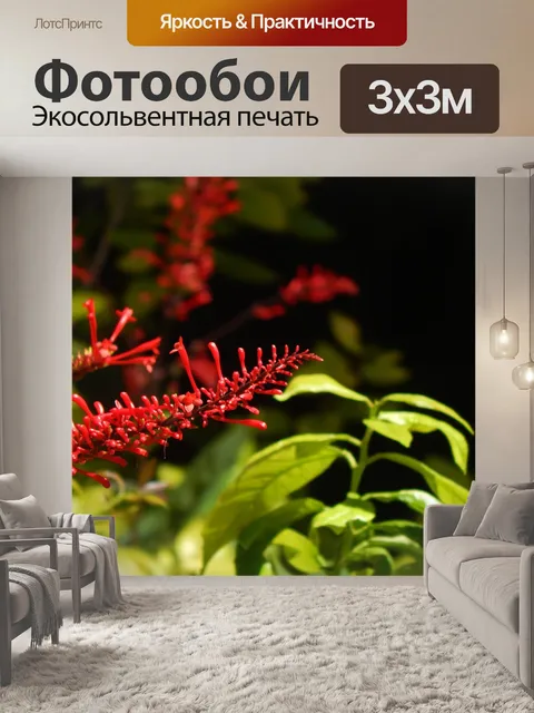 Фотообои Цветок