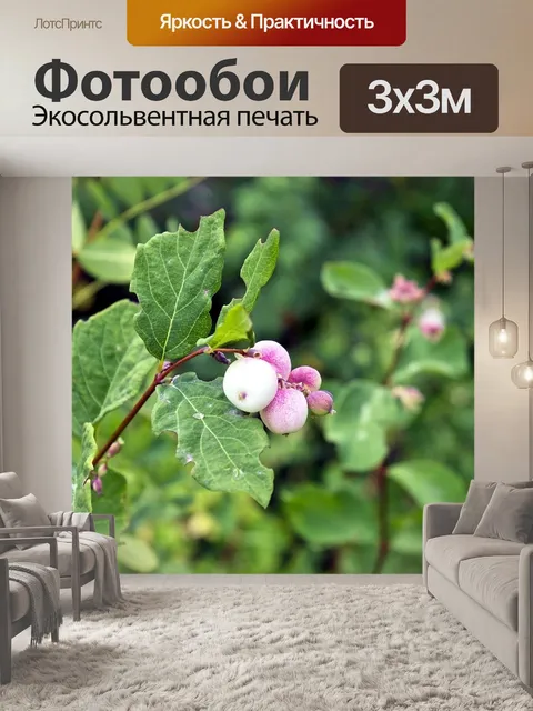 Фотообои Снежная ягода