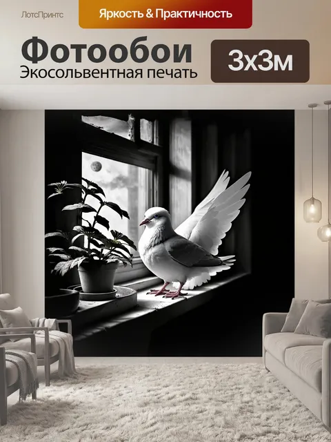 Фотообои голубь с белыми перьями и голубыми глазами